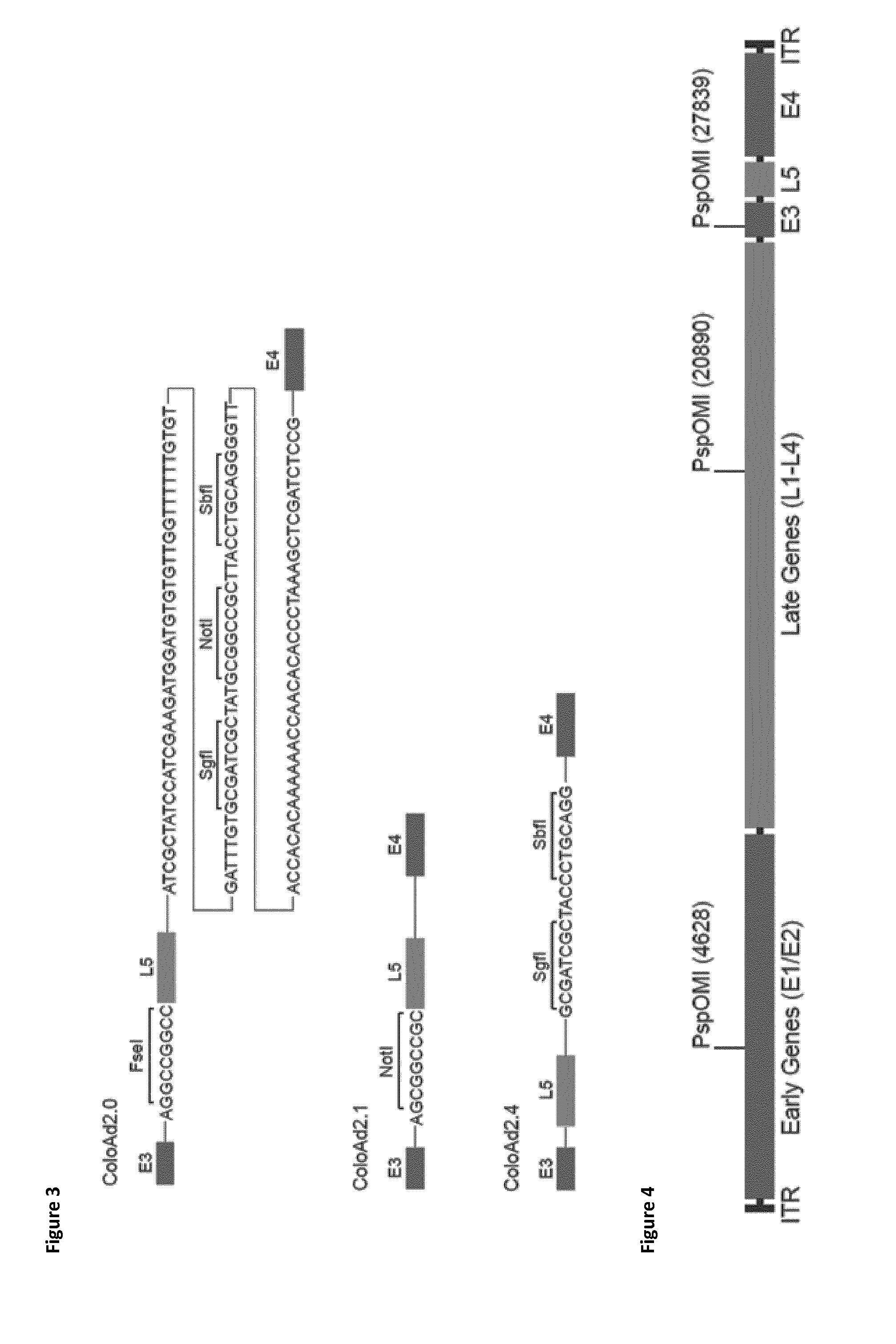 A method of making adenovirus and corresponding plasmids