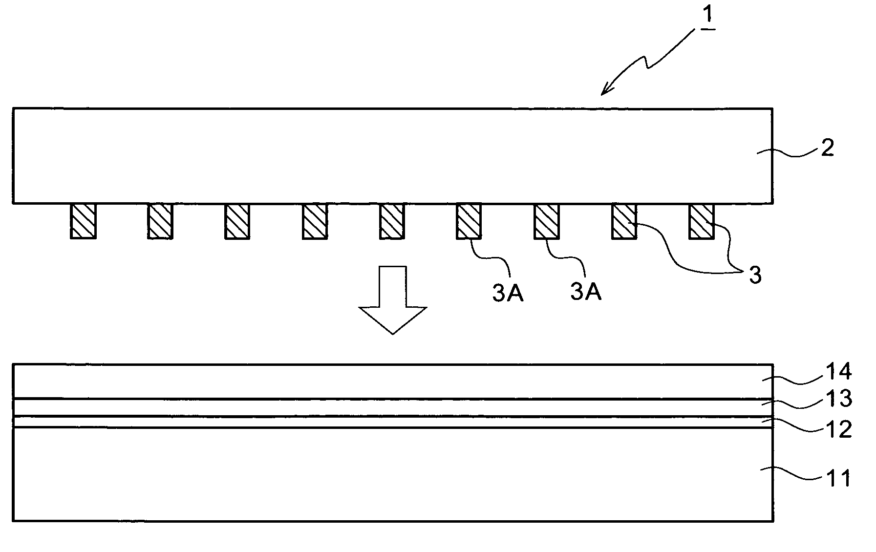 Wire grid polarizer and method for producing same