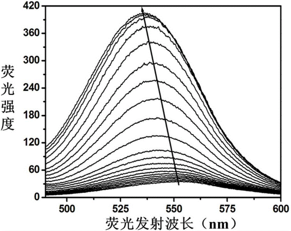 Fluorescent probe based on double-stranded DNA protection and application of same to preparation of drug used for detecting Plasmodium falciparum lactate dehydrogenase