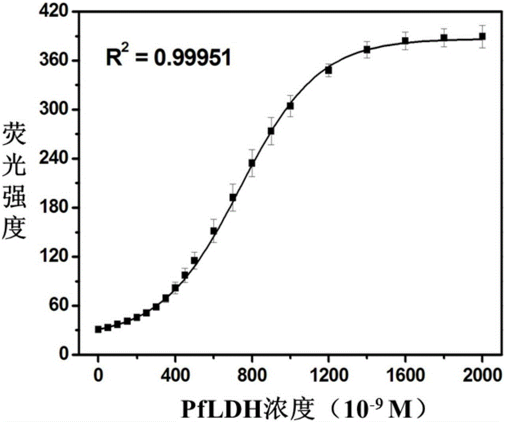 Fluorescent probe based on double-stranded DNA protection and application of same to preparation of drug used for detecting Plasmodium falciparum lactate dehydrogenase