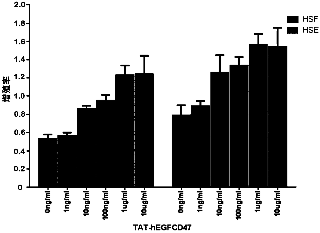 mTAT-hEGF-kCD47 fusion protein, construction method and application