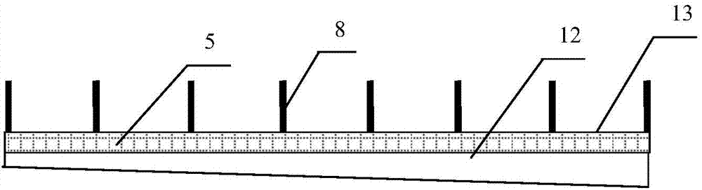 Decrement processing system and method for excrement sources of large and medium-sized live pig farms