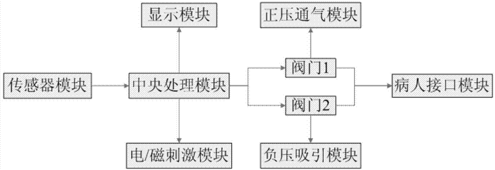 Diaphragm muscle stimulation inspiration and expiration system