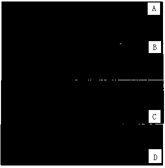 Application of Iron Oxide Nanoparticles in the Preparation of Drugs for Improving Erlotinib Resistance