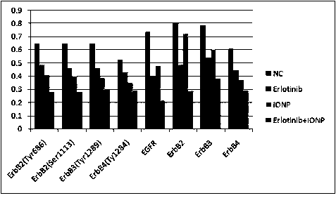 Application of Iron Oxide Nanoparticles in the Preparation of Drugs for Improving Erlotinib Resistance