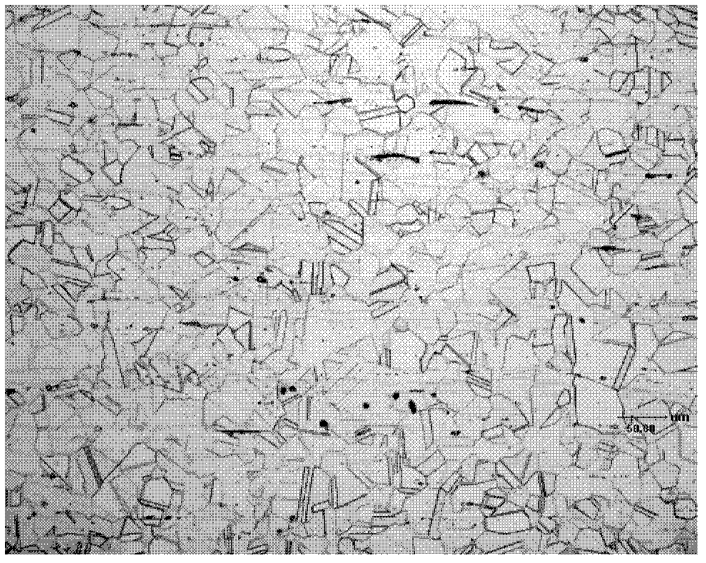 Non-magnetic hard-section nickel austenitic stainless steel and preparation method thereof