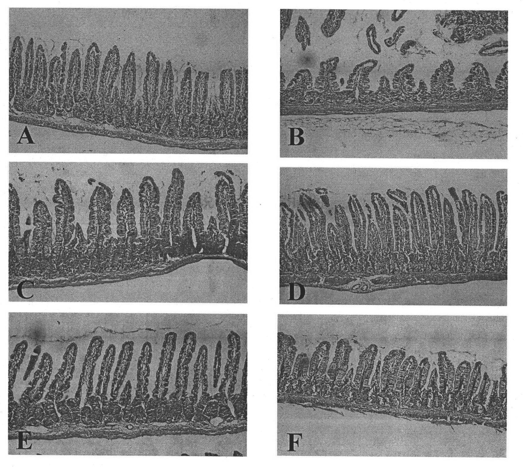 Composition containing L. acidophilus 1.1878 and Chinese medicaments and application thereof