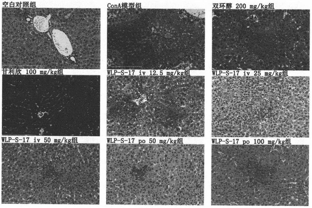 A class of bicyclic alcohol derivatives and its preparation and application