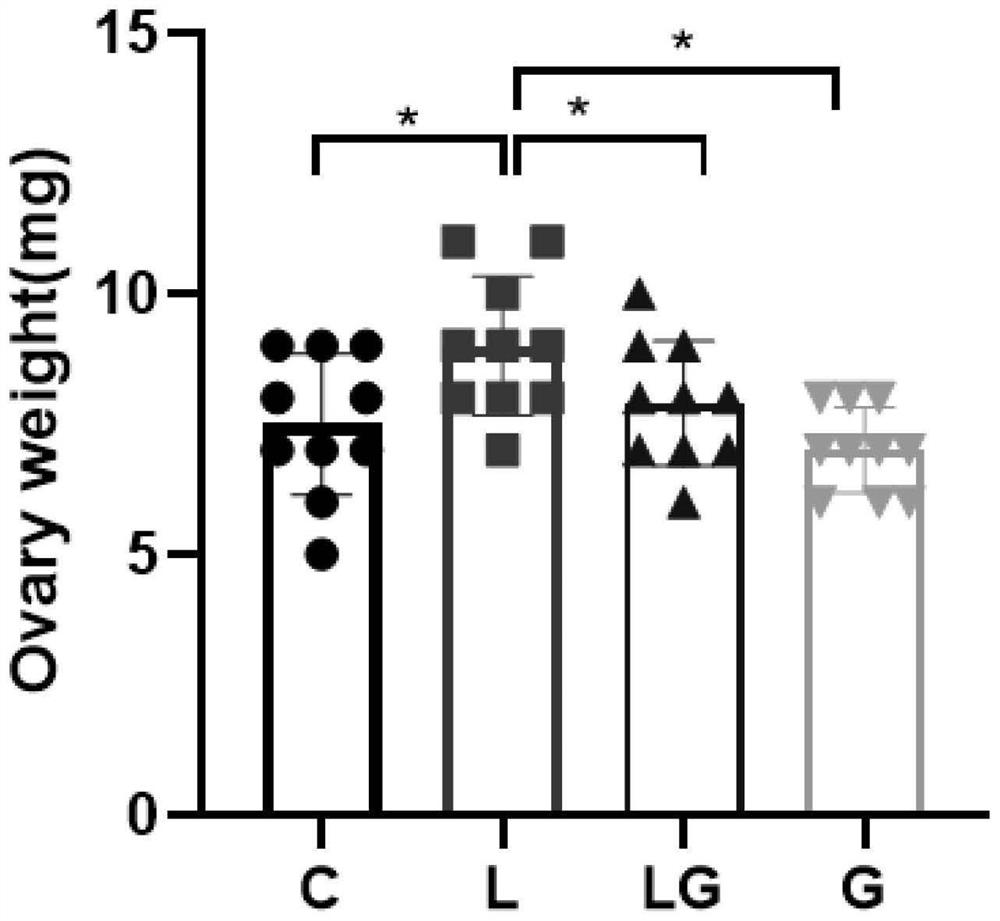 Application of seaweed extract GV971 in preparation of medicine for treating polycystic ovarian syndrome