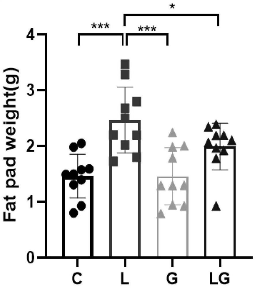 Application of seaweed extract GV971 in preparation of medicine for treating polycystic ovarian syndrome