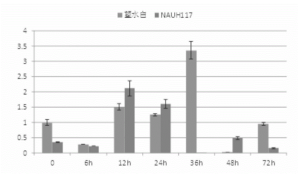 Proline-rich protein gene as well as expression vector and application thereof