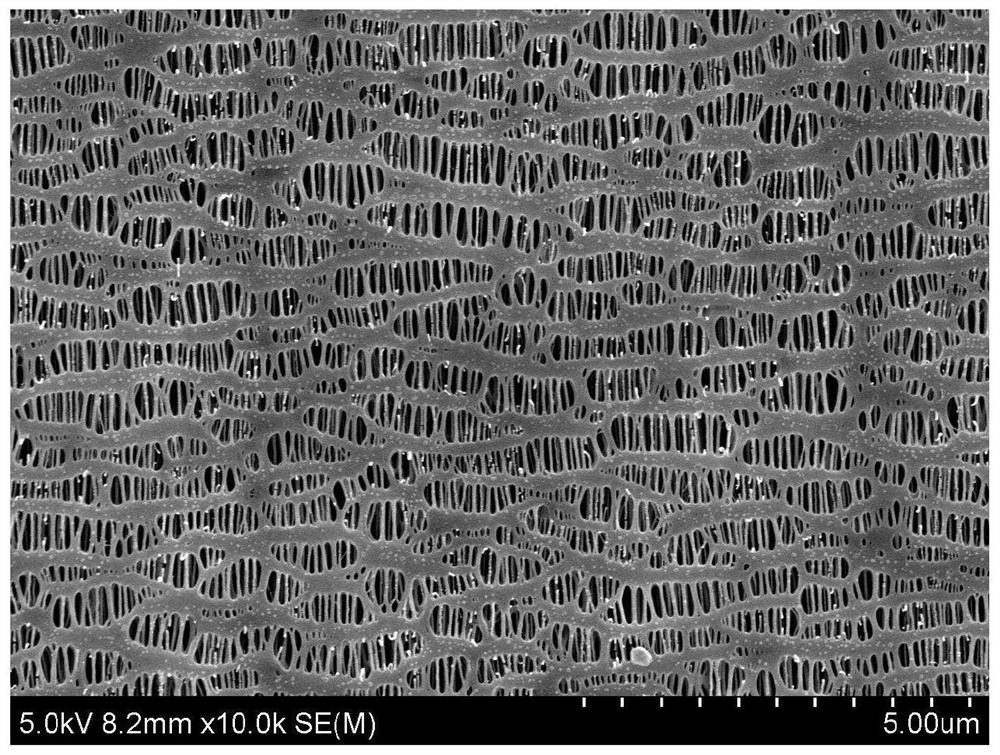 A kind of multilayer polyolefin microporous membrane with asymmetric structure and its preparation method and application