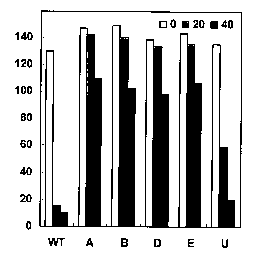 Selection marker system and method for screening a choline tolerant plant cell