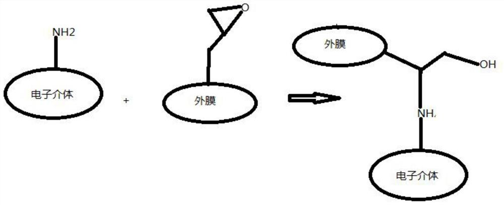 Preparation method of electrode outer membrane material