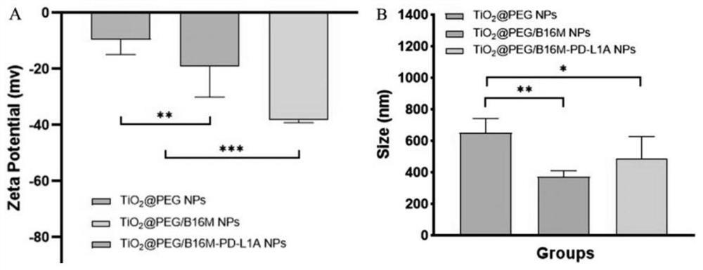 Antibody-PD-L1-loaded bionic targeting TiO2 nano-particles, preparation method therefor and use of antibody-PD-L1-loaded bionic targeting TiO2 nano-particles