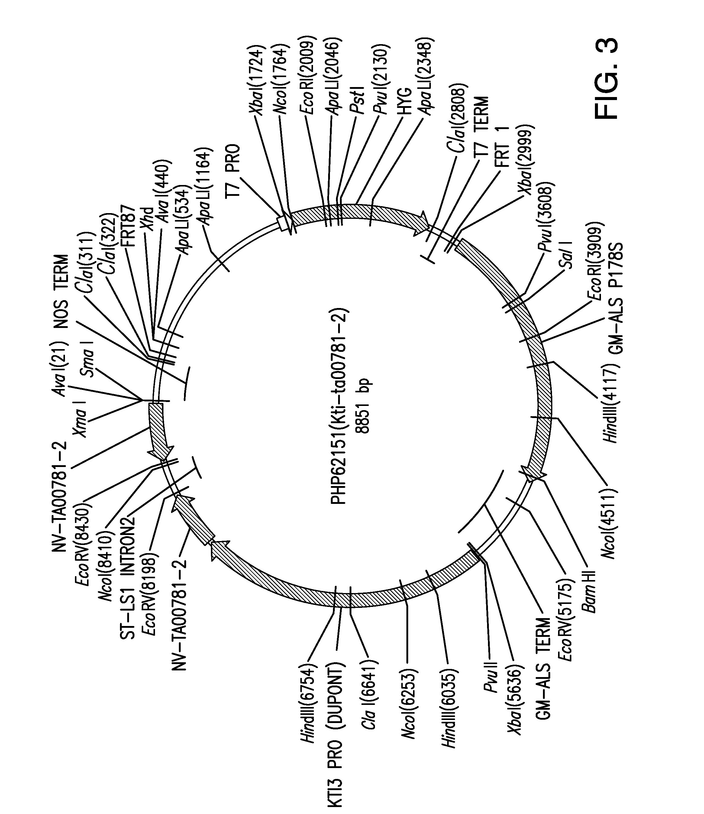 Compositions and methods for insecticidal control of stinkbugs