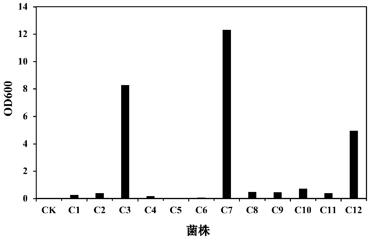 Microbial strain for degrading long-chain alkanes and application of microbial strain