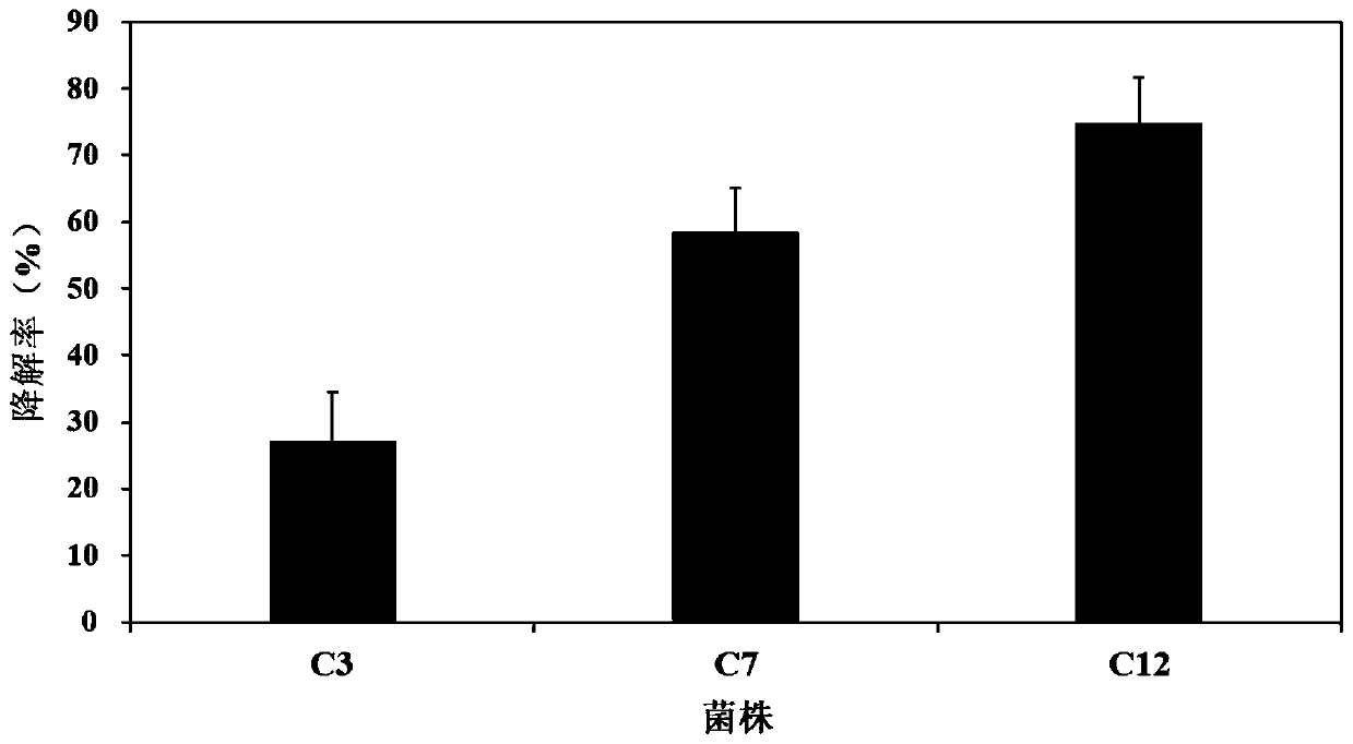 Microbial strain for degrading long-chain alkanes and application of microbial strain