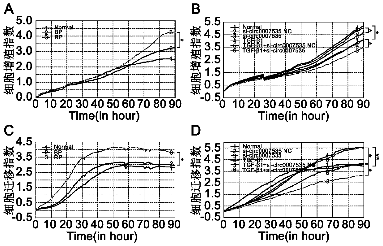 Application of down-regulated circular gene expression reagent in preparing medicine for preventing and/or treating pulmonary fibrosis and down-regulated circular gene expression medicine