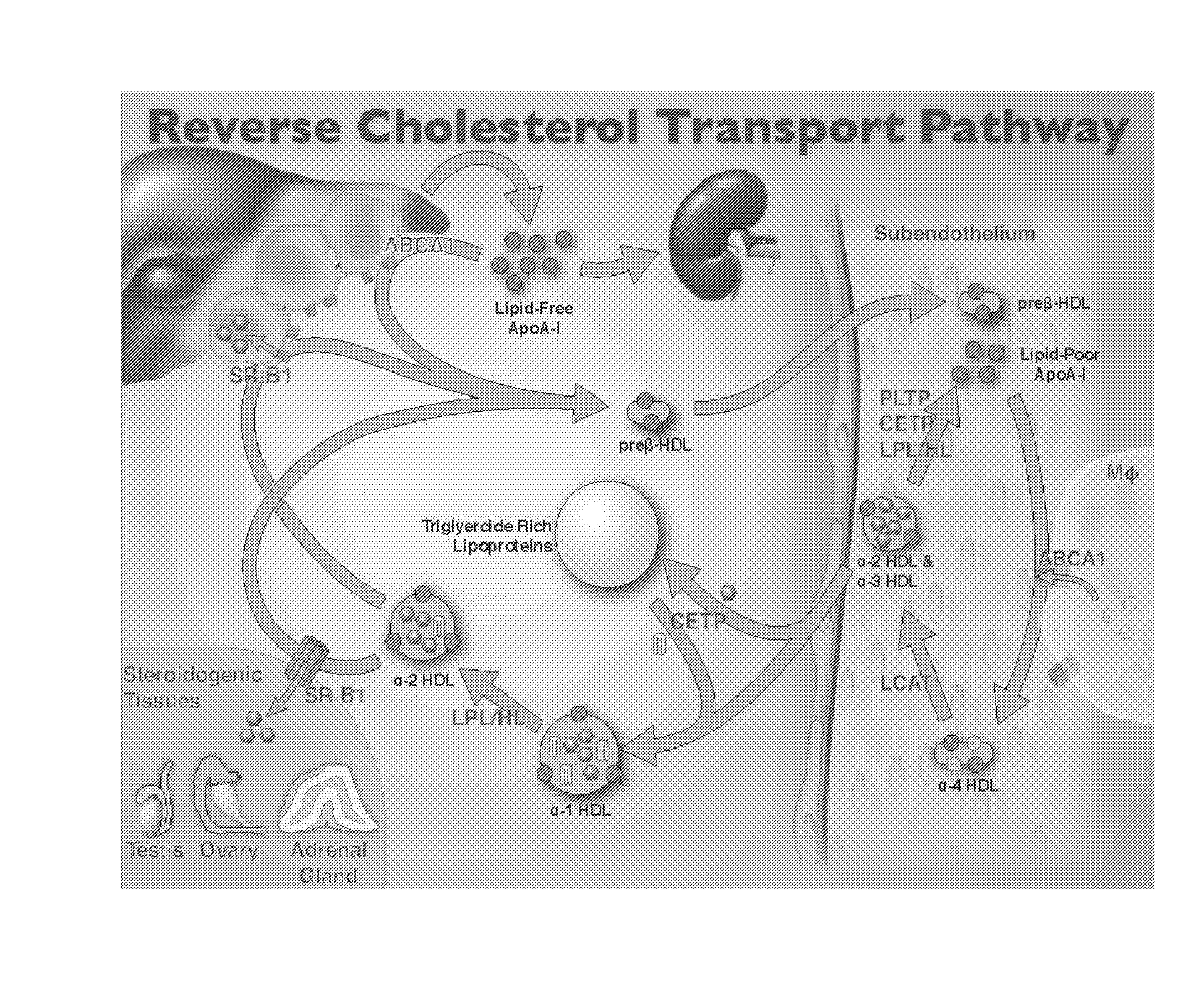 Compositions and methods to assess the capacity of hdl to support reverse cholesterol transport