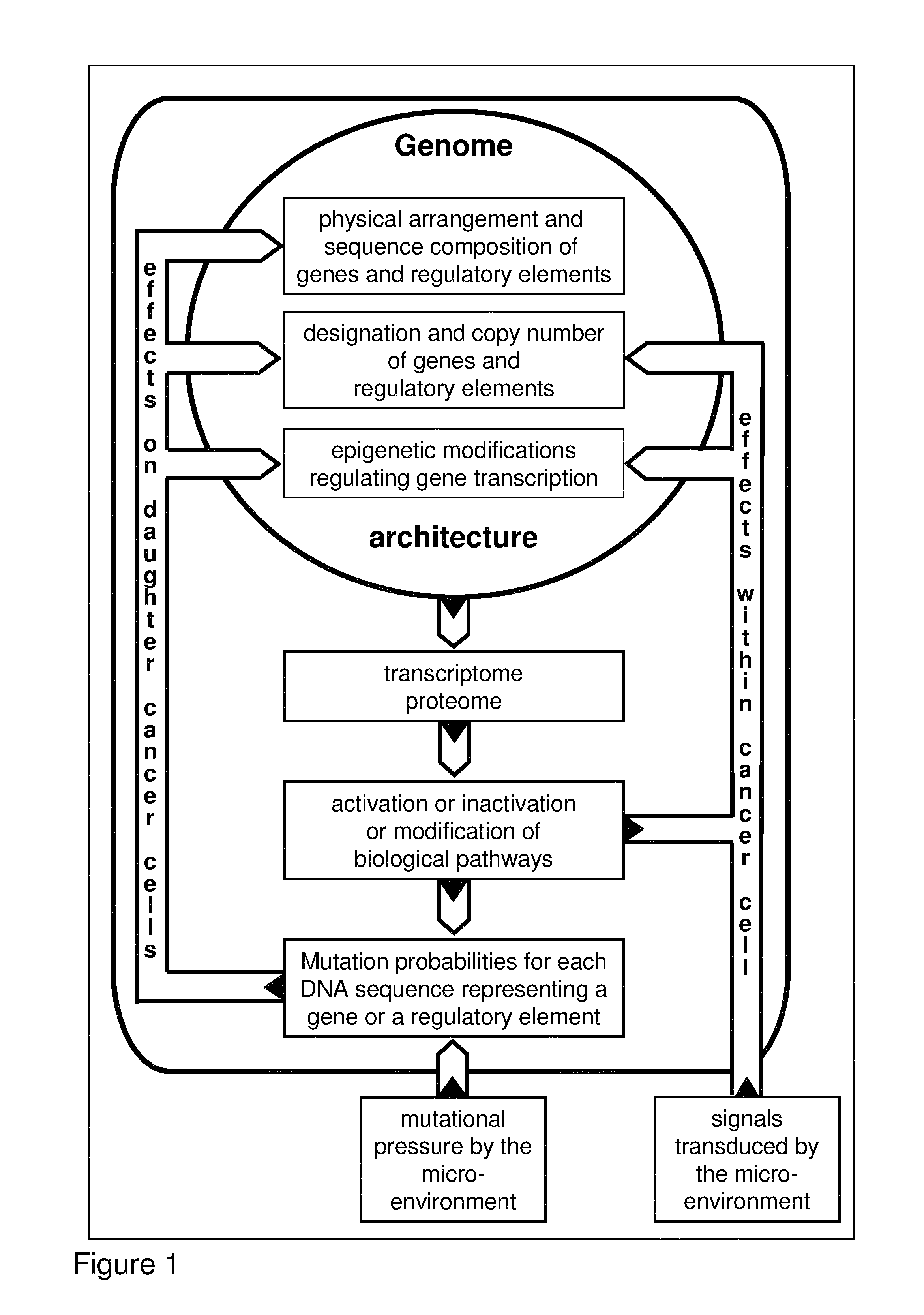 Algorithm for modification of somatic cancer evolution