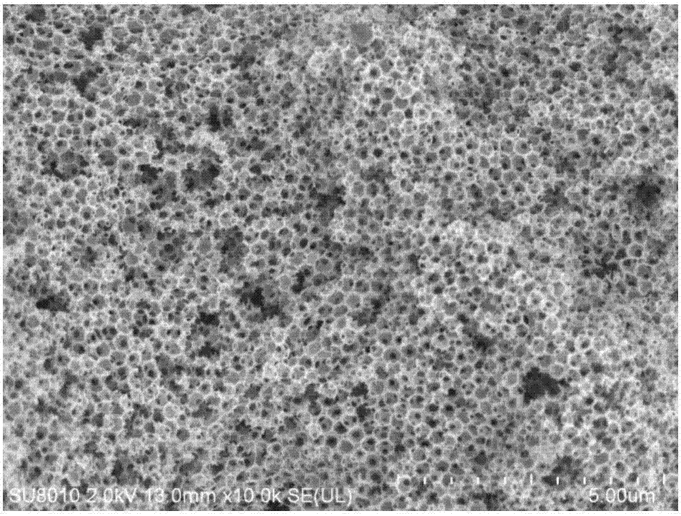 Transition metal based catalyst electrode of honeycomb macroporous structure as well as preparation method and application thereof