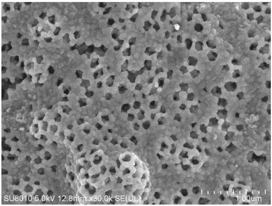 Transition metal based catalyst electrode of honeycomb macroporous structure as well as preparation method and application thereof