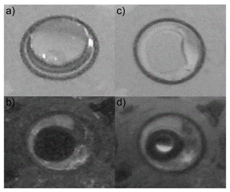 MALDI steel target for conducting single-step enrichment and desalination on biological sample and preparation method of MALDI steel target