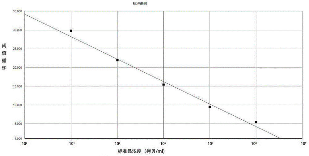 Universal primer for detecting aspergillus flavus and aspergillus fumigatus and real-time fluorescence tHDA (Thermophilic Helicase Dependent Amplification) kit