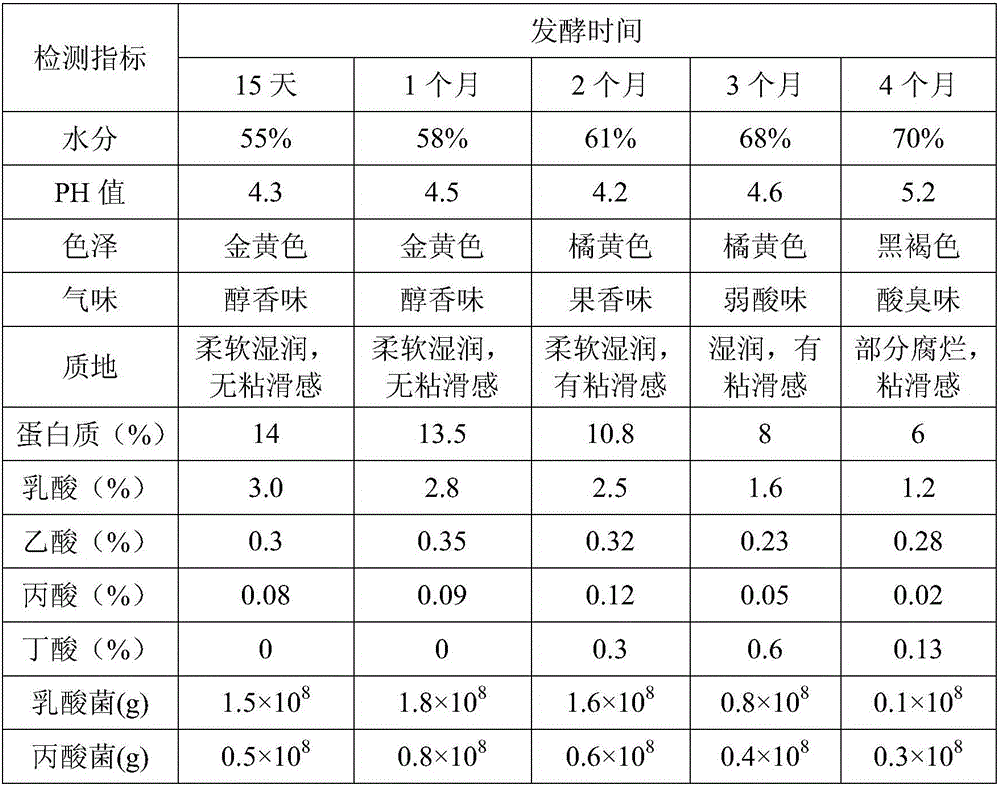 Pregnant sow micro-storage fermentation feed and preparation method thereof