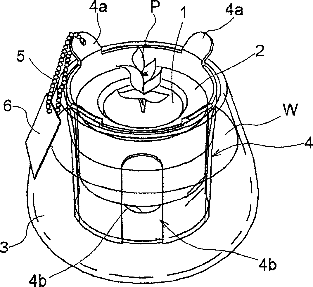 Plant cultivating base body and method of manufacturing the same