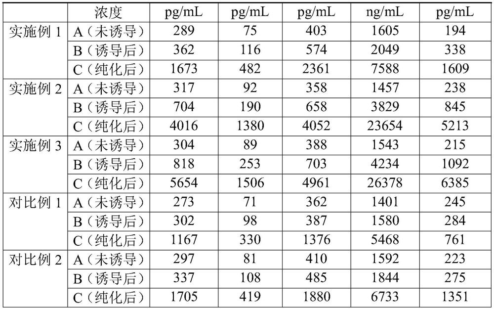 Stem cell bioactive protein and its preparation and application