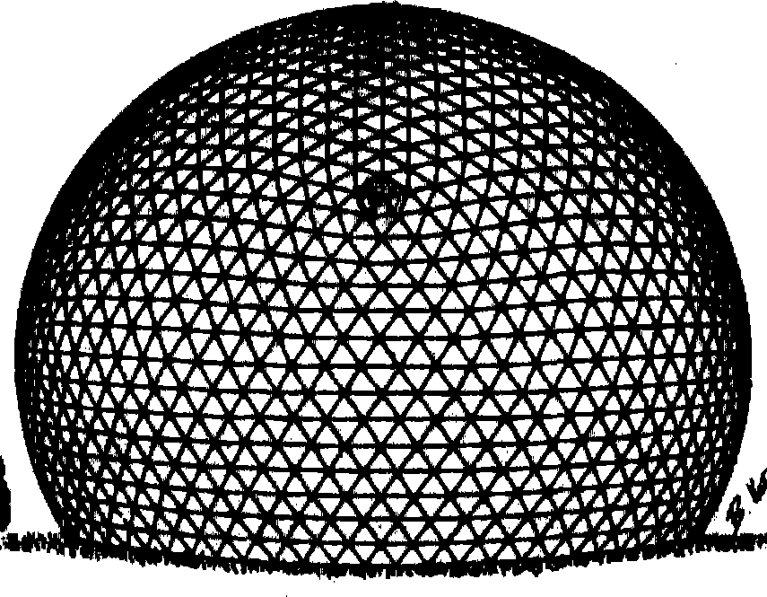 Semispherical roof panel reticulated shell structure with vertical rod supporting for quick assembly