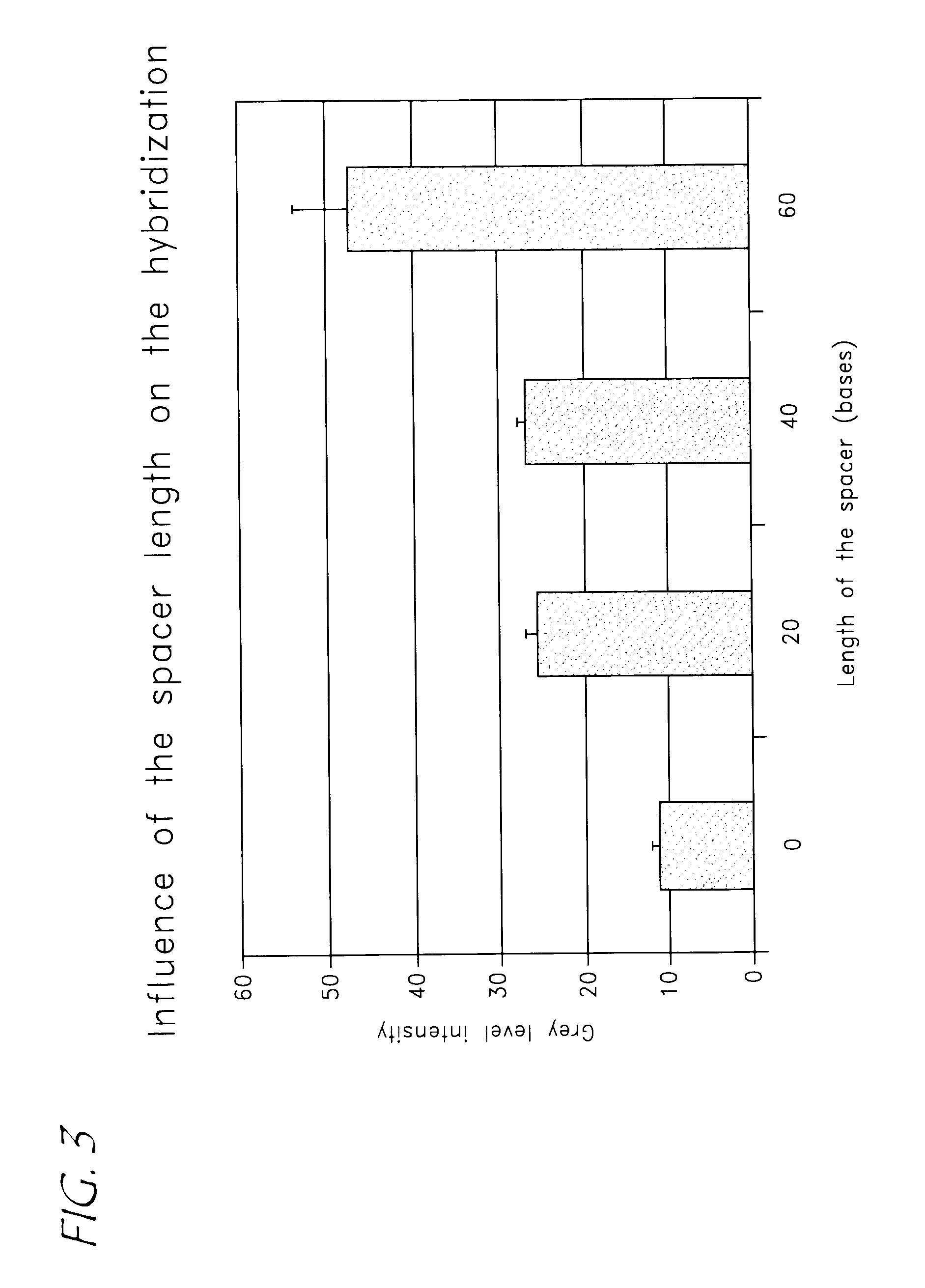 Identification of biological (micro) organisms by detection of their homologous nucleotide sequences on arrays