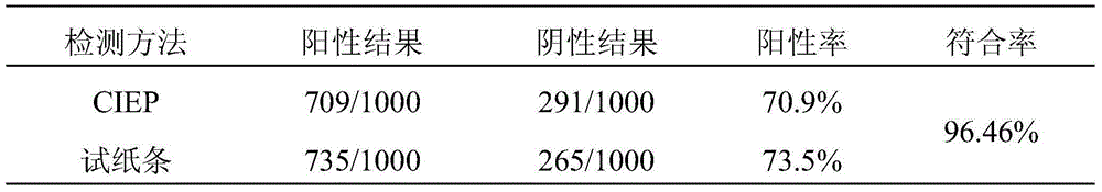 Mink Aleutian disease virus antibody colloidal gold test strip and manufacturing method thereof