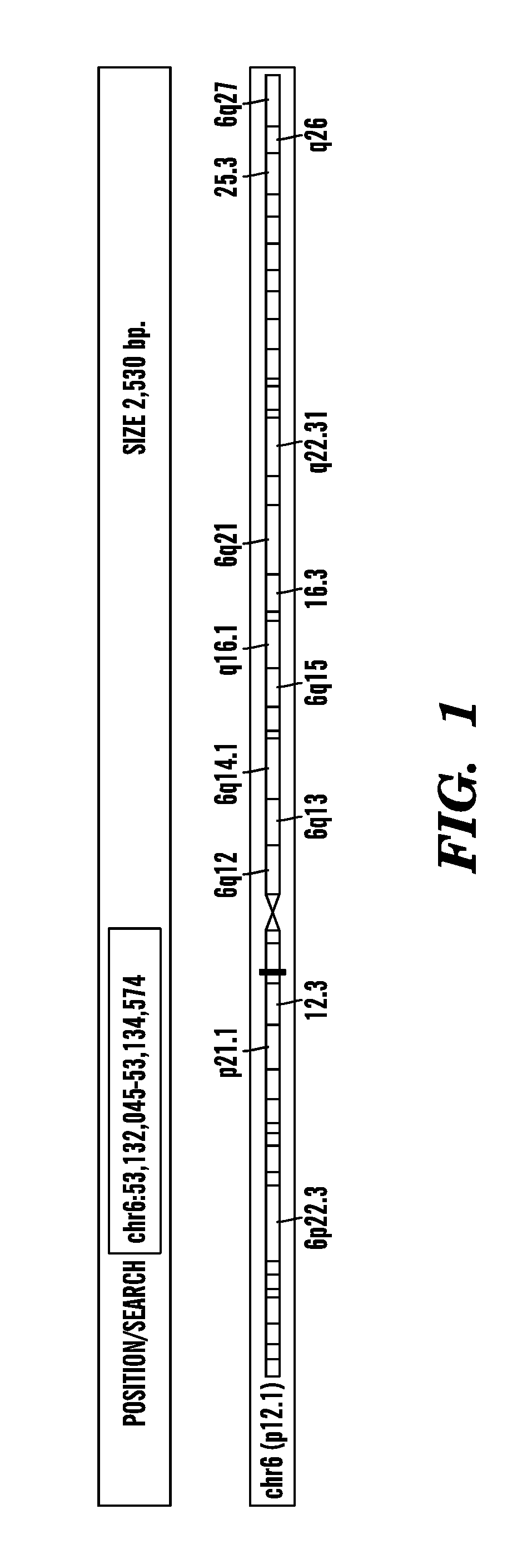 Non-coding transcripts for determination of cellular states