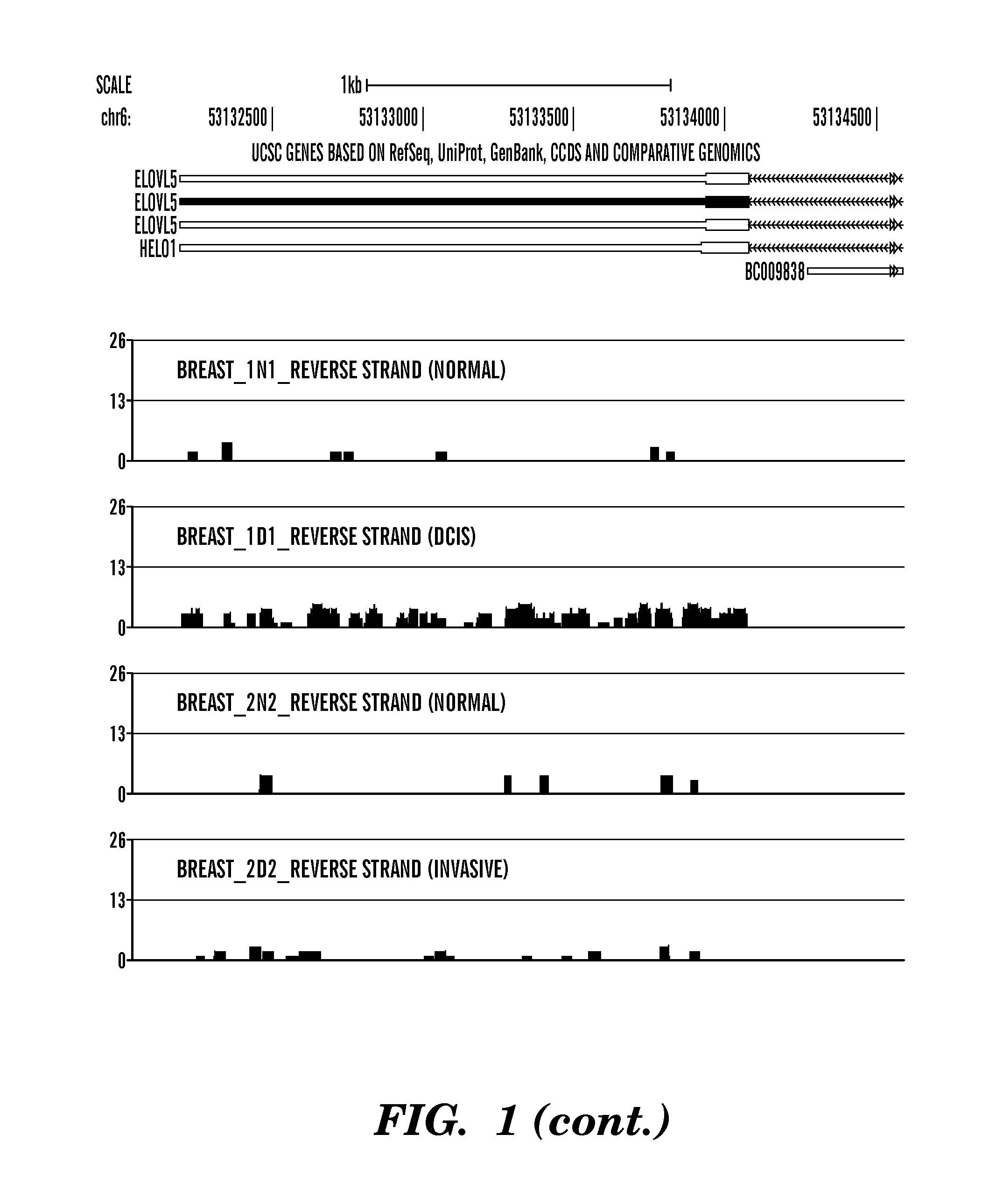 Non-coding transcripts for determination of cellular states