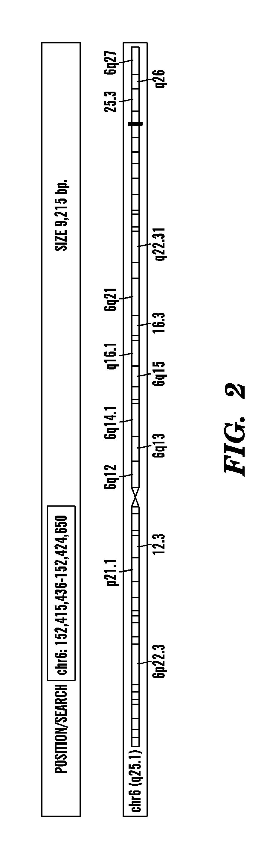 Non-coding transcripts for determination of cellular states