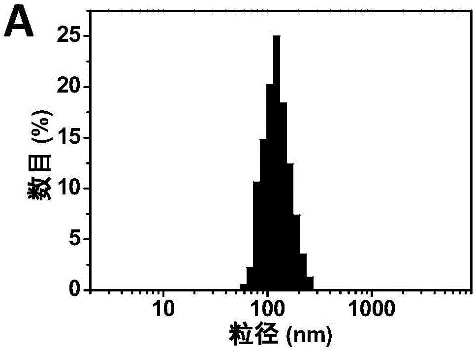 Nanoparticle preparation, and preparation method and application thereof