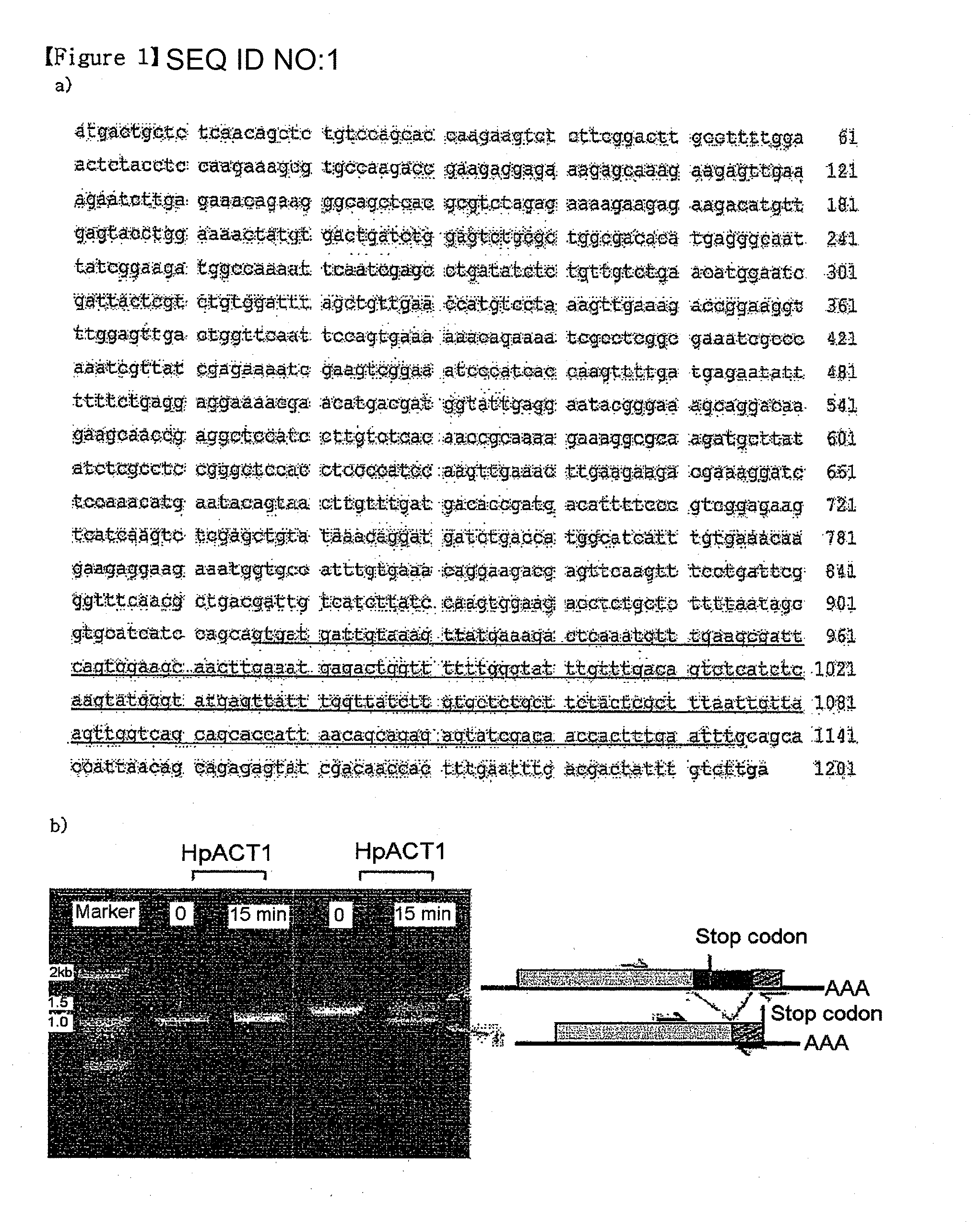 Novel gene from hancenula polymorpha capable of controlling unfolded protein response and method for increasing effect of secretion using the same