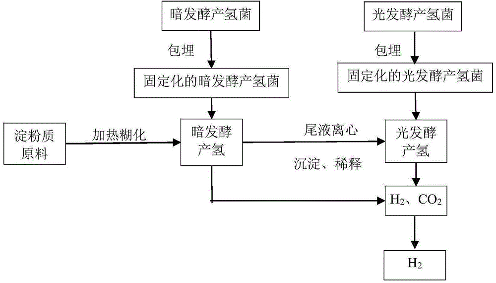 Method used for preparing hydrogen via embedded bacteria fermentation