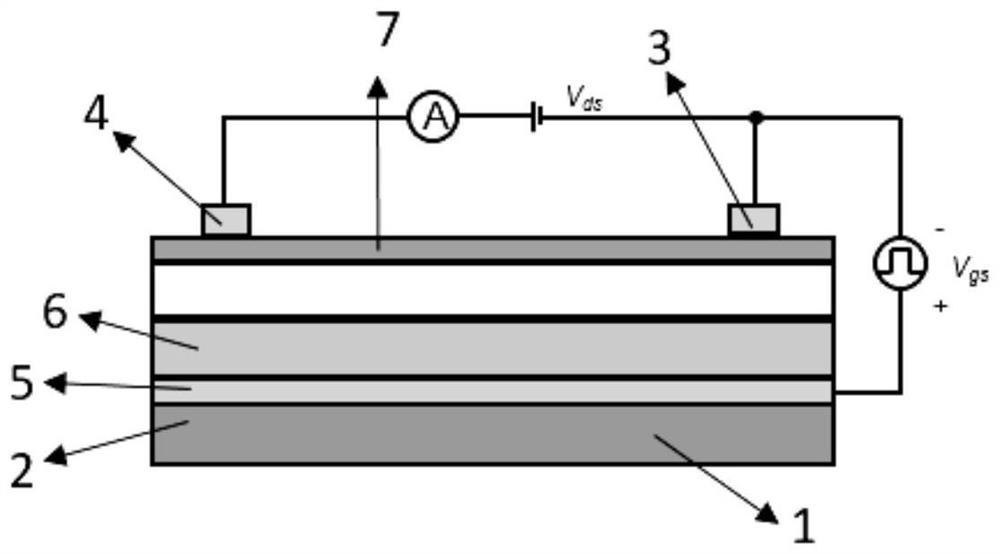 Multifunctional photosensitive synaptic device based on two-dimensional material and preparation method of multifunctional photosensitive synaptic device