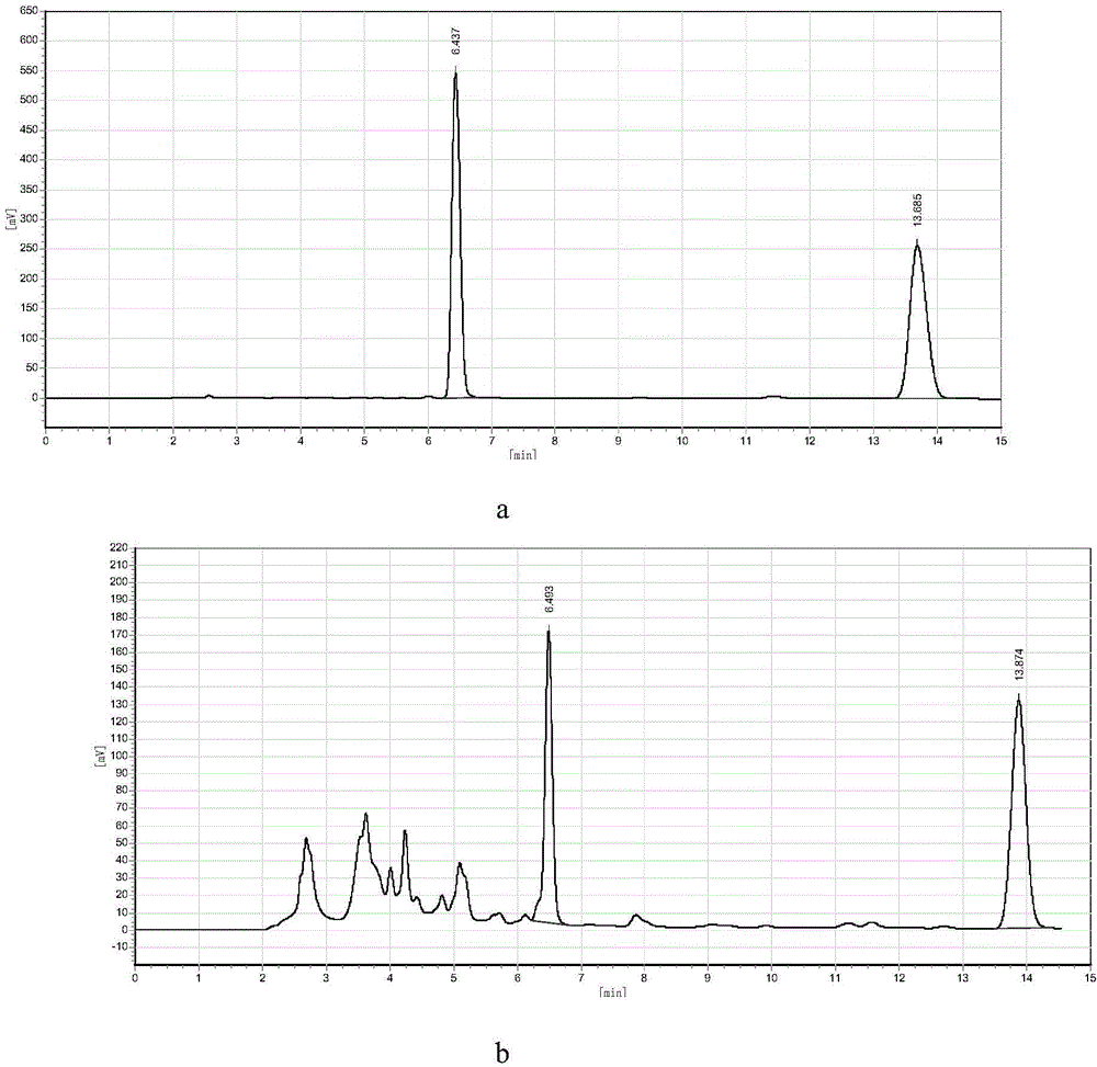 Environment-friendly synthesis method of 1-naphthylamine