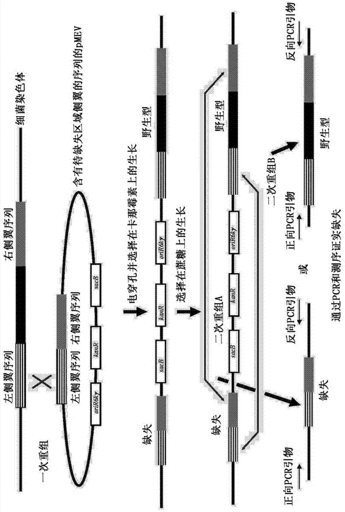 Xylose isomerases and their uses