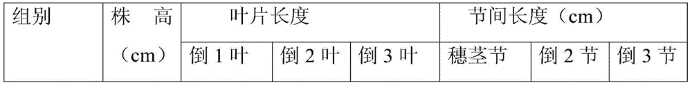 Controlled-release compound fertilizer and preparation method thereof