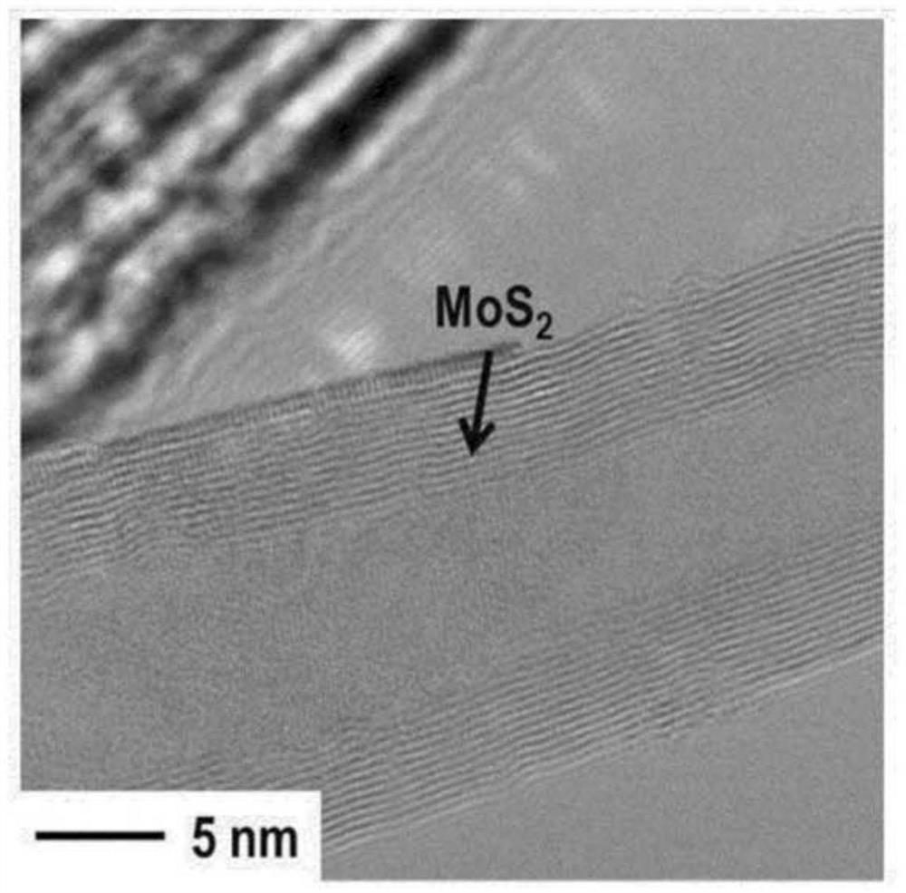 Method for preparing carbon nanostructure comprising molybdenum disulfide, lithium secondary battery cathode comprising carbon nanostructure comprising molybdenum disulfide, prepared thereby, and lithium secondary battery comprising same