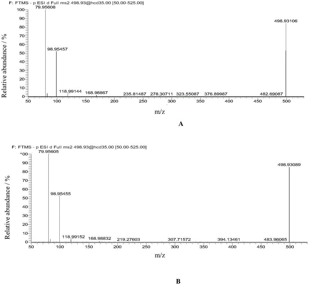 Method for rapidly screening perfluorinated compounds and precusor substances thereof in fish meat