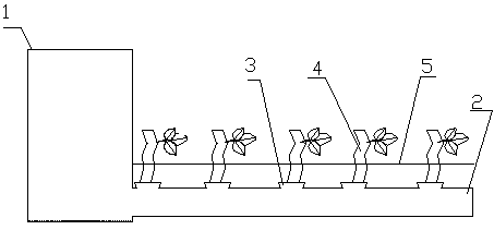 A kind of cutting propagation method of woody plants and its cutting device