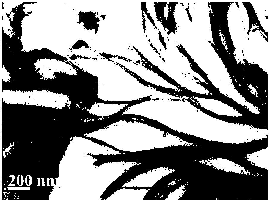 Preparation method of fiber-shaped carbon nitride