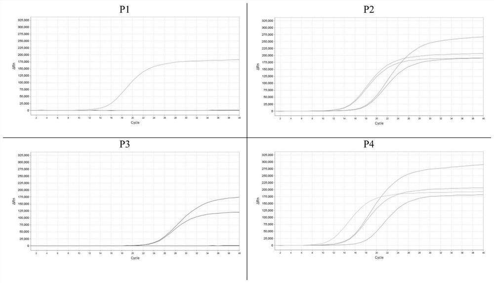 Composition for detecting colorectal cancer and kit and application thereof